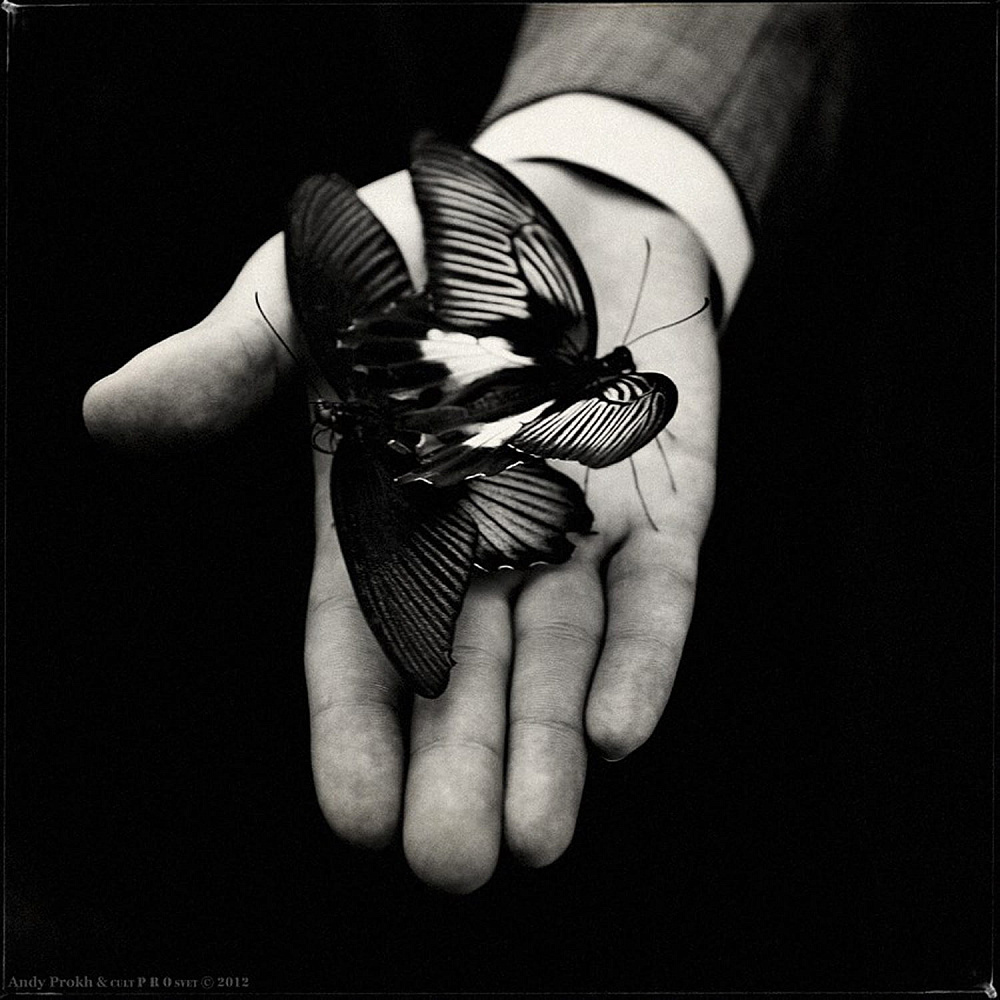 Andy Prokh.
