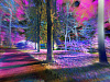 Открытка "Neon 5"