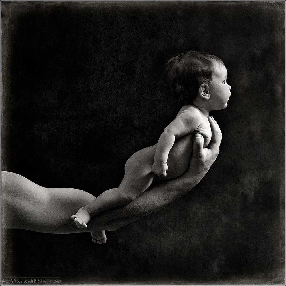 Andy  Prokh.