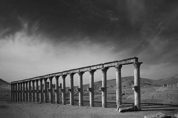 Пальмира. Римская колоннада. Сирия, 2009
