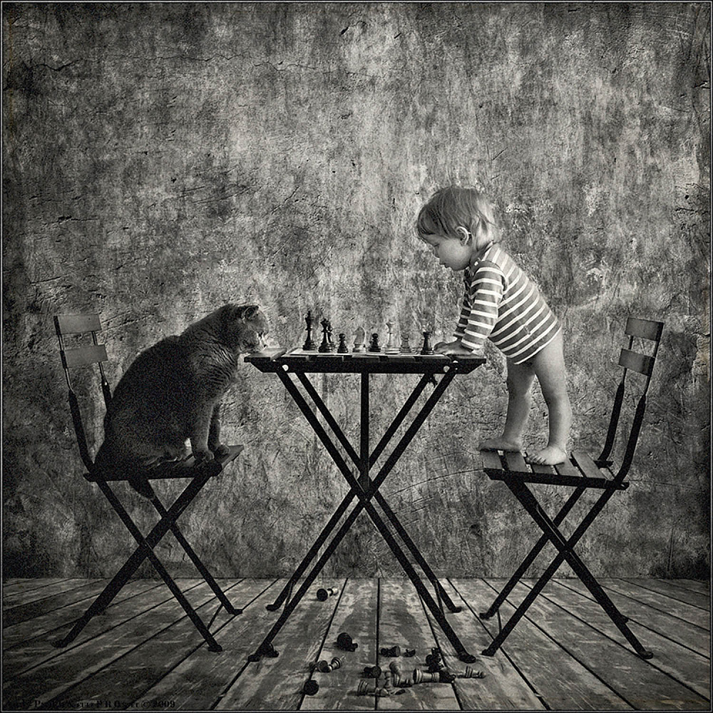 The ChessMasters
