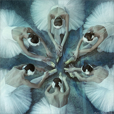 №5