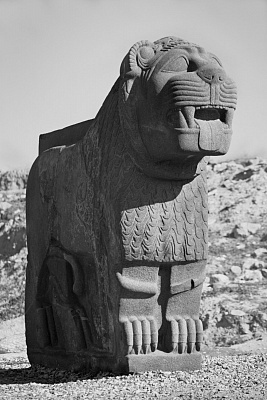 Лев из хеттского комплекса Айн-Дара. Сирия, 2009