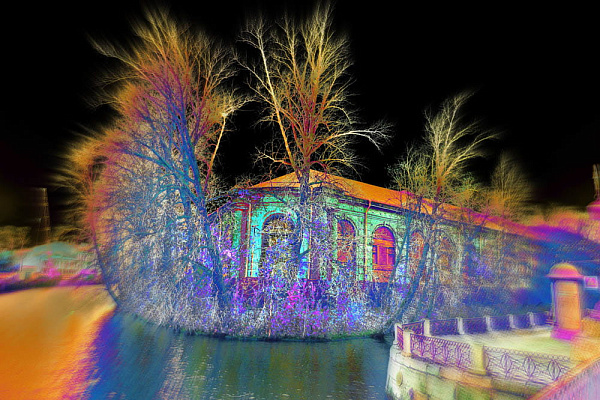 NEON LIGHT #14